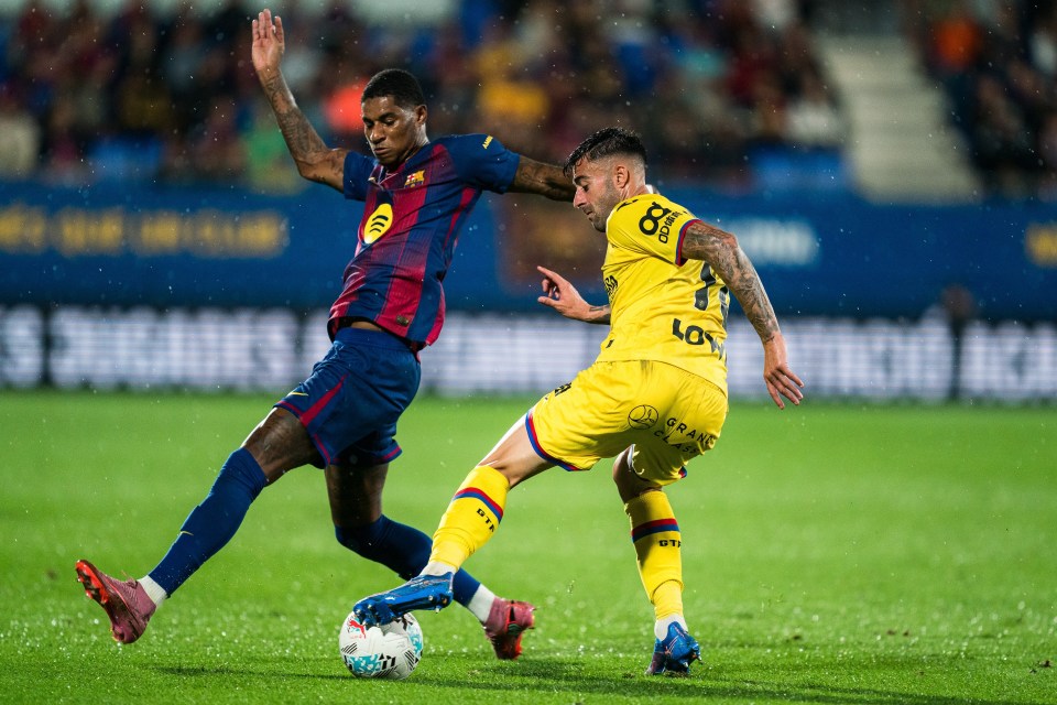 Ovh, 拼抢, 戈萨摄