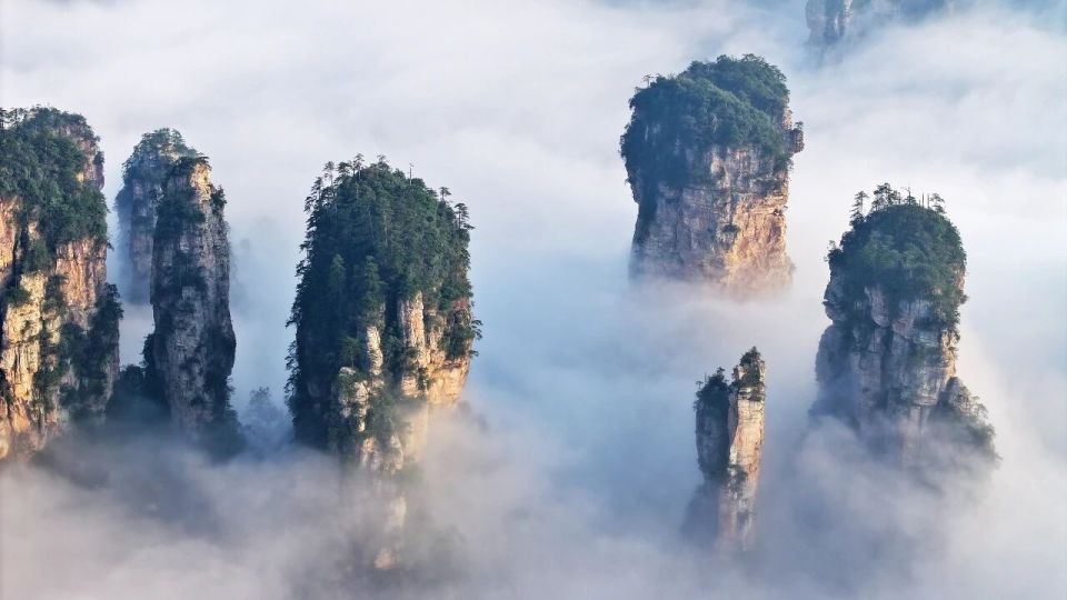 iAIsL, 更是游子心, om iAIsL, 更是游子心, om